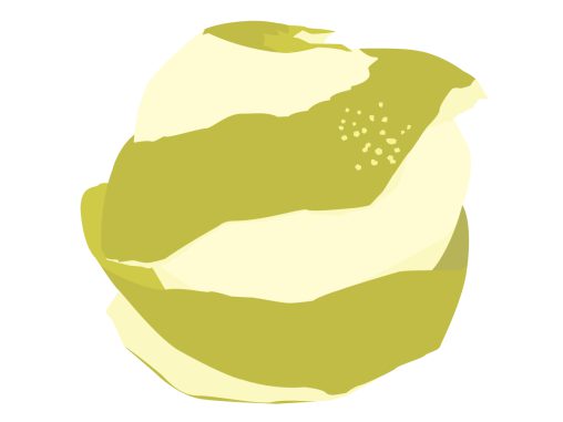 梨のあきづきのイラスト